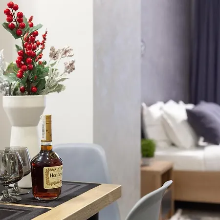 Alfa Kniazia Leva 2 * Lviv